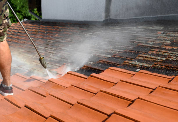 Best Affordable Power Washing  in St Martinville, LA